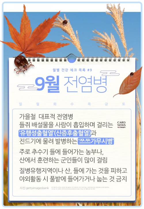 카드 뉴스 이미지