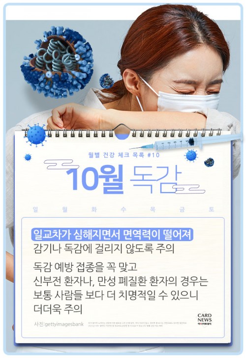 카드 뉴스 이미지