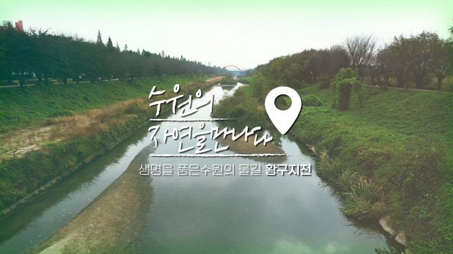 포
