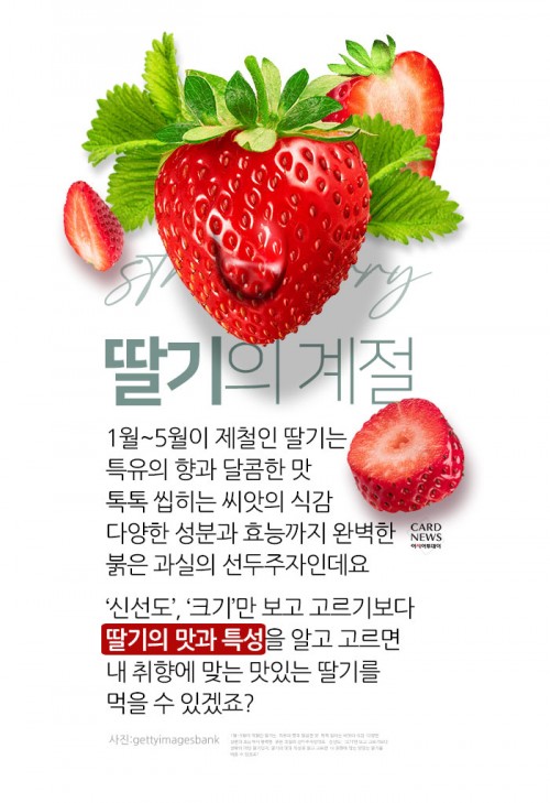 카드 뉴스 이미지