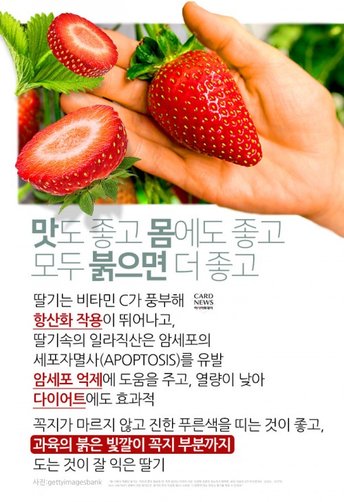 카드 뉴스 이미지