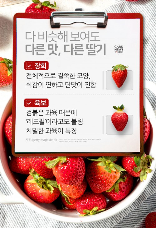 카드 뉴스 이미지