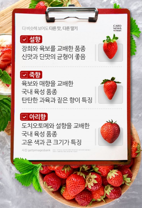카드 뉴스 이미지