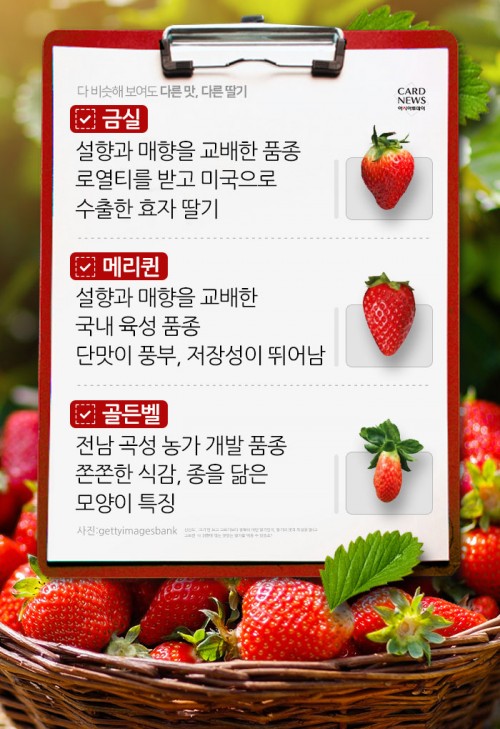 카드 뉴스 이미지