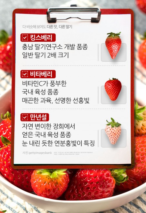 카드 뉴스 이미지