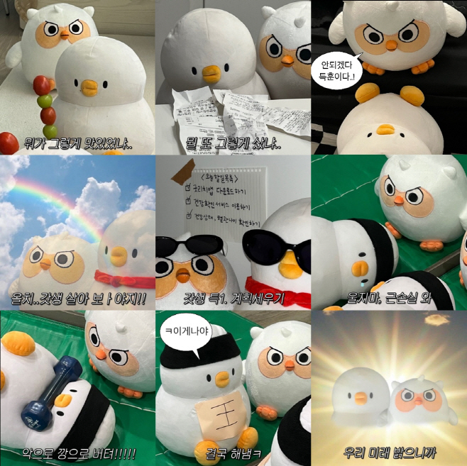 사진자료 1