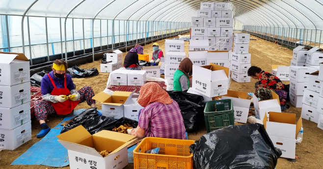 농촌인력 중개(지원)센터 운영