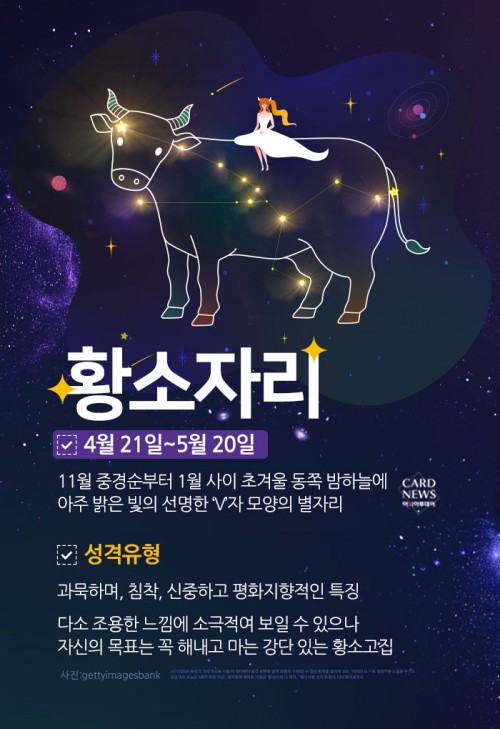 카드 뉴스 이미지