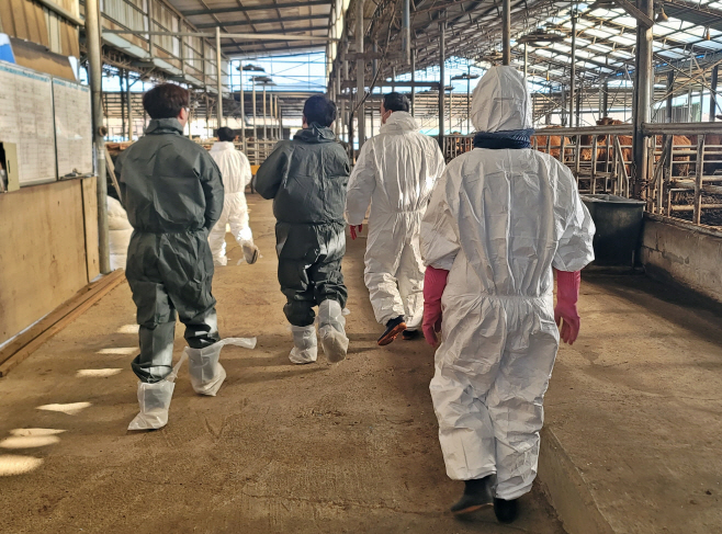 2. 경주 21개 천년한우 농장 신규 HACCP 인증 획득