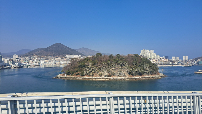 장군도 섬 숲 백화현상 피해대응 나서