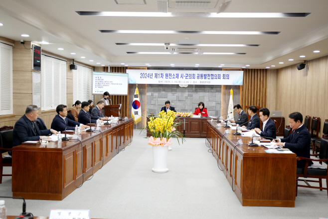 공동발전협의회