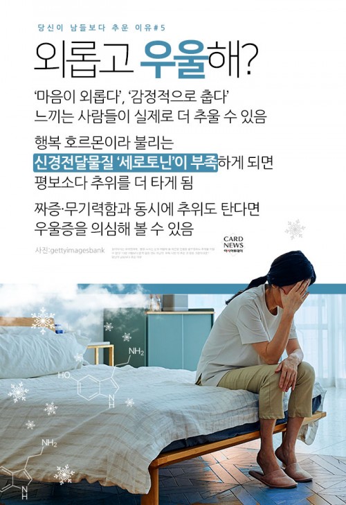 카드 뉴스 이미지