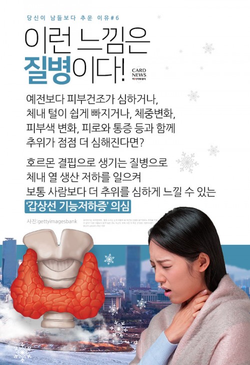 카드 뉴스 이미지