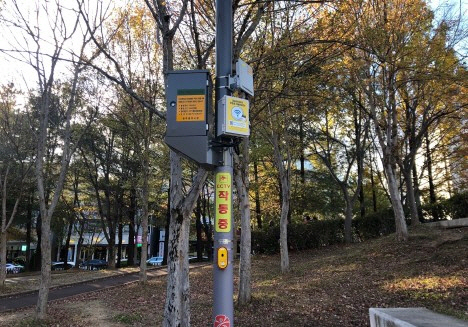 광주광역시