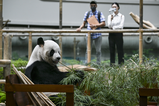 MALAYSIA-KUALA LUMPUR-GIANT PANDA