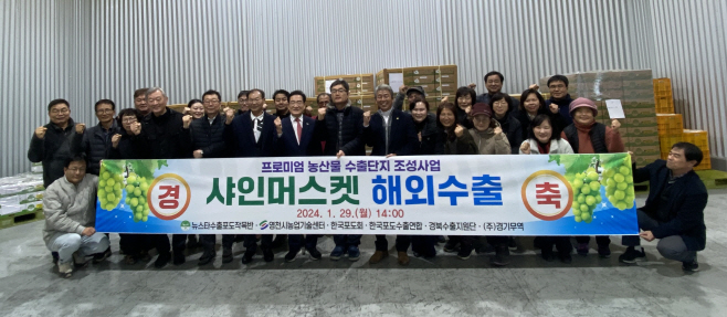 7 [사진] 영천 프리미엄 샤인머스켓 홍콩 수출!(1)