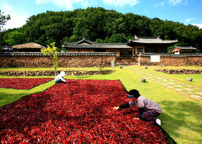 3-4 사진(명절선물 아직이라면, 영양고추!!!)