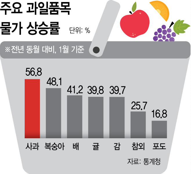 과일 물가상승률