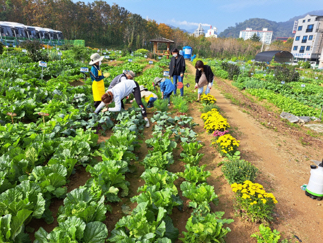 공세동 시민농장