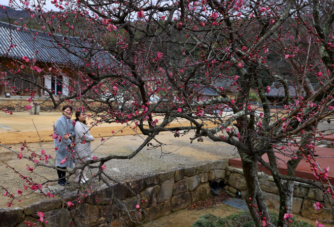 강진군