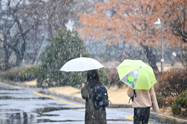 [포토] 다시 봄에서 겨울로