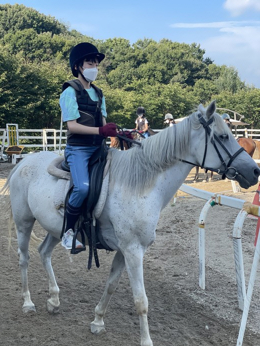 용인시 백암면의 한 승마장