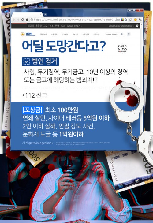 카드 뉴스 이미지