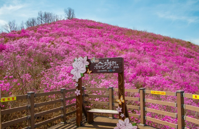 작은성장동력사업, 새로운 관광자원으로 부상(1)