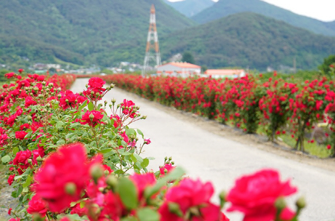 작은성장동력사업, 새로운 관광자원으로 부상(4)