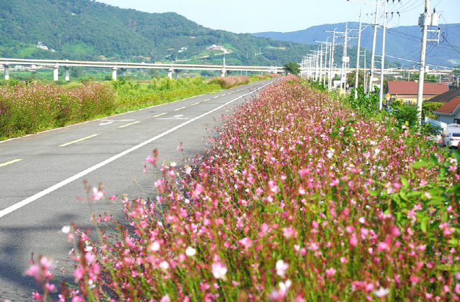 작은성장동력사업, 새로운 관광자원으로 부상(8)