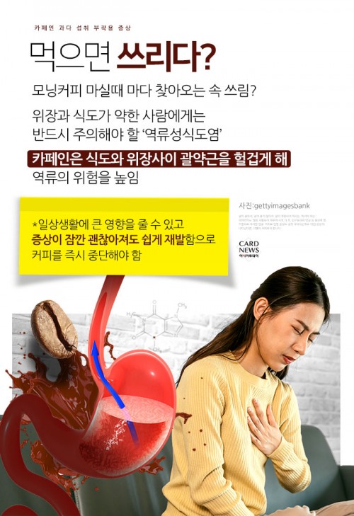 카드 뉴스 이미지