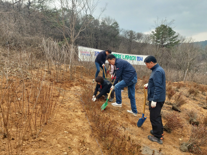하은호군포시장식목