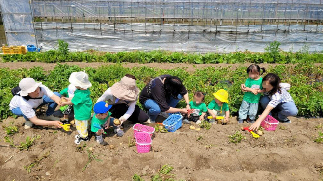 텃밭체험 광양시어린이보육재단