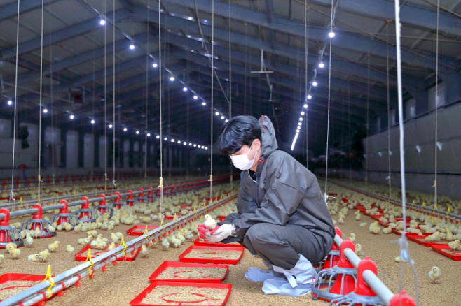 사진3-하림 무창계사 내부 전경