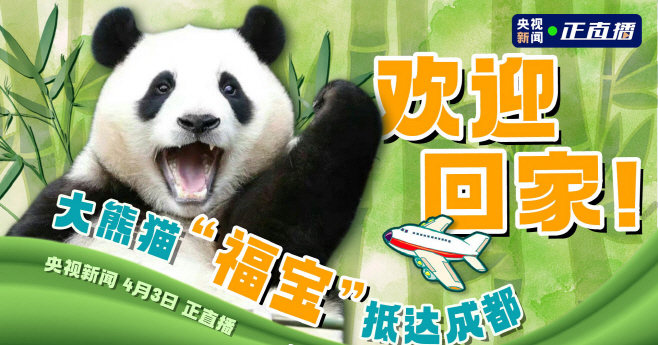 푸바오