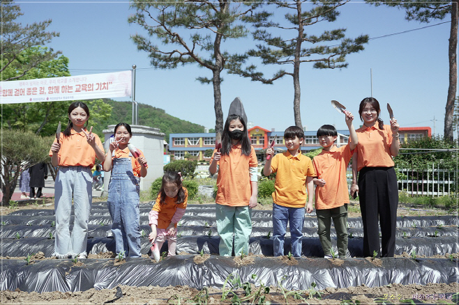 [파천초] 꿈소슬 6남매 텃밭가꾸기 심기사진2