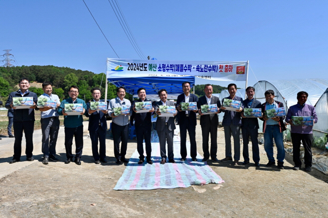 애플수박·속노란수박 등 소형수박 첫 출하!