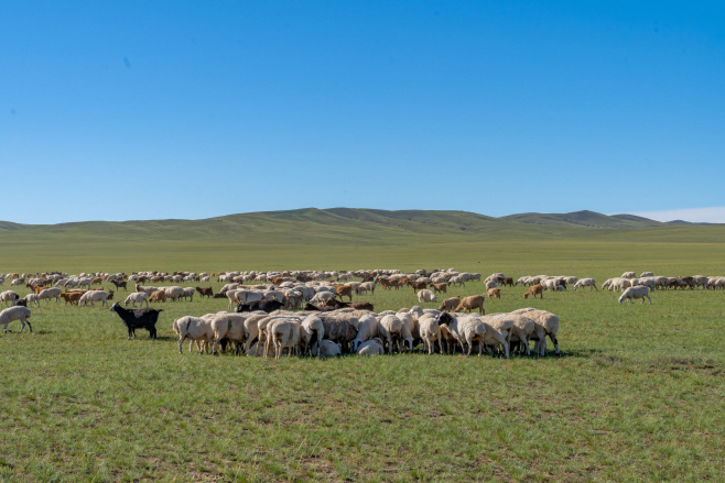 사본 -[하나투어 사진자료]몽골 대초원