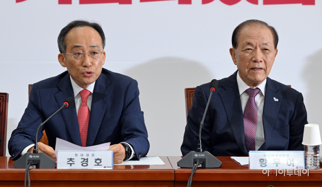 국민의힘 비상대책위원회의