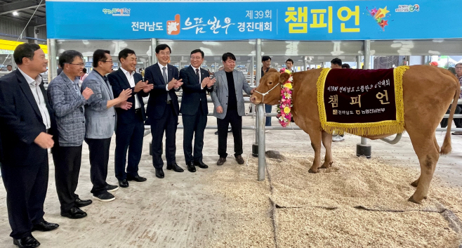 전남도