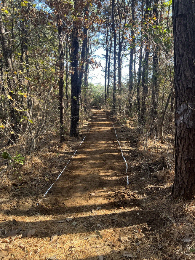 성복동 수지중앙공원 내 일부 구간 어싱길