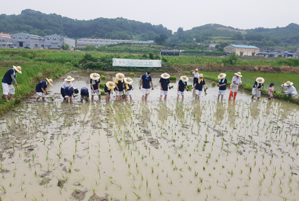 0528 함안화천농악과 함께하는 함안생생축제 6월 1일 진행4