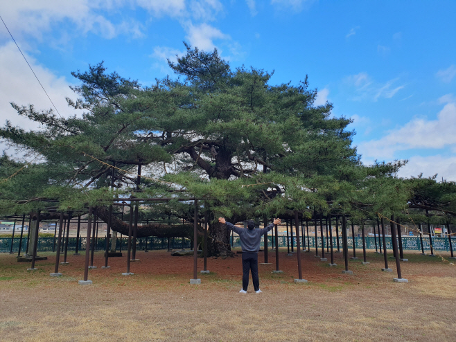석송령사진자료 (1) (1)