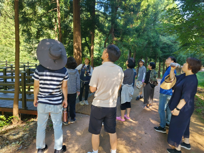 보성군