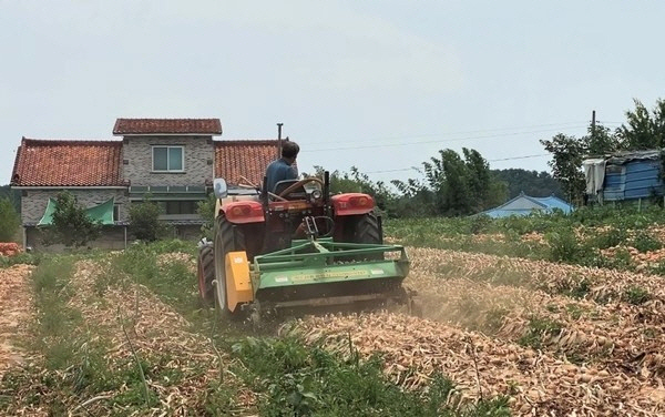 전남도