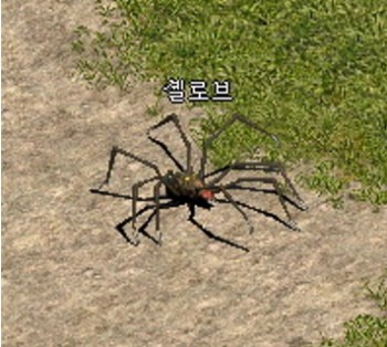 셸로브