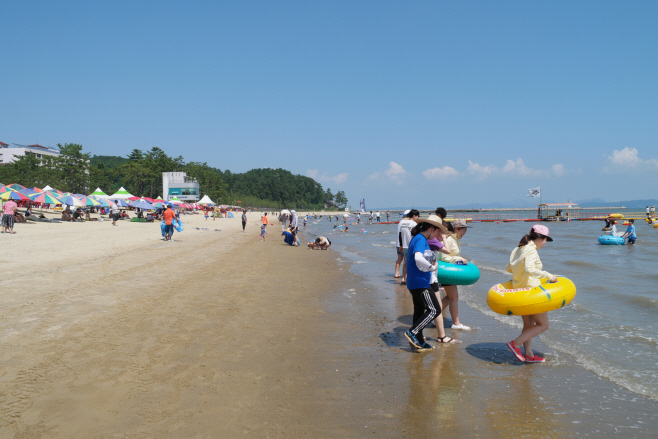 보성군