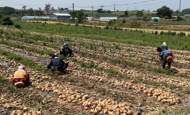 전남도