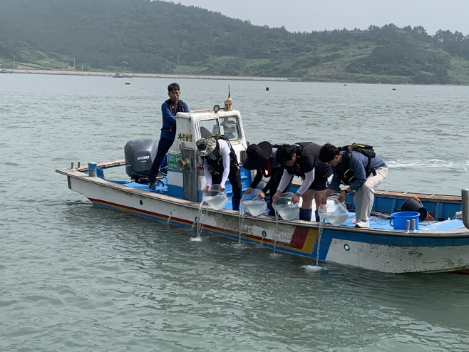 전남도