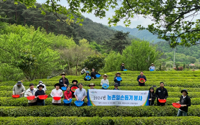 보성군